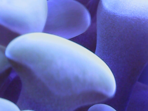 20230110_19_38_42.png