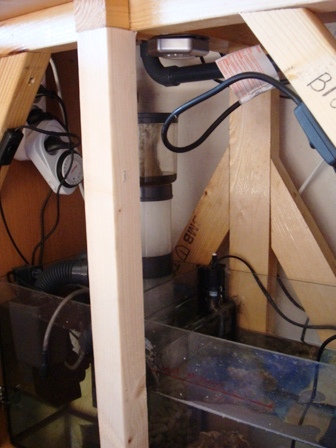 DSC00748.JPG