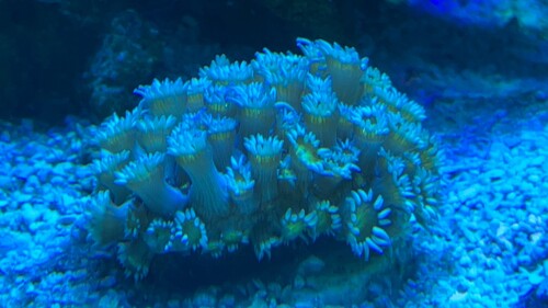 7A512908-AC74-4C80-A0D3-1A39EAAE0410.jpeg