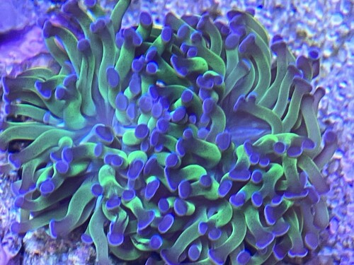 F5549F0C-8B7A-4C18-80B1-94A8757904D8.jpeg