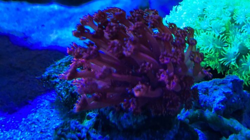 4E6536C1-7093-41A3-93C3-A875B8ADF246.jpeg