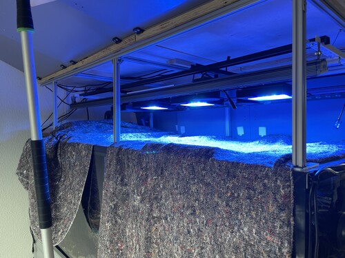 Day01