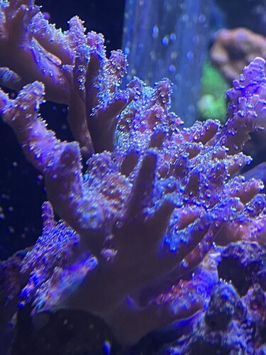 4D955703-F951-404E-B14A-D873C5A8D3B4.jpeg