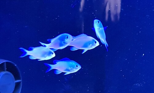 20230326_150215.jpg