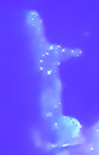 20230402_231623.jpg