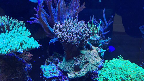 120F7085-431A-4230-BA7F-54310336E516.jpeg