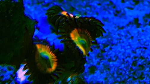 IMG_1720.JPG