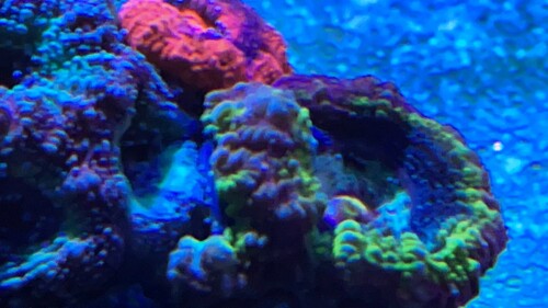 IMG_1703.JPG