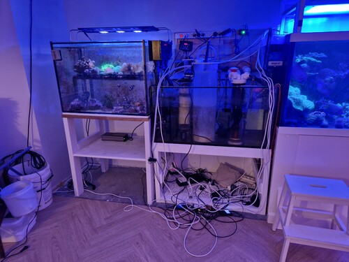 20230407_203004.jpg