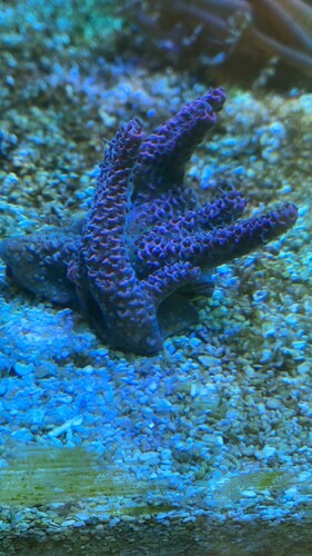 IMG_0577.jpeg