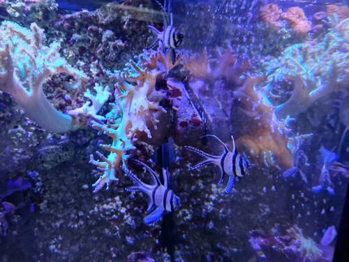 20230430_113658.jpg