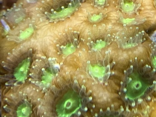 IMG_0799.jpeg