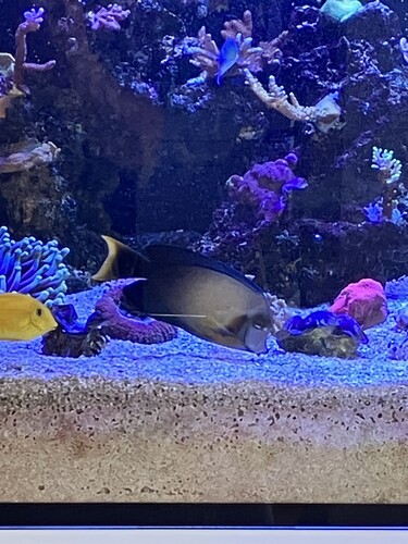 IMG_0832.jpeg