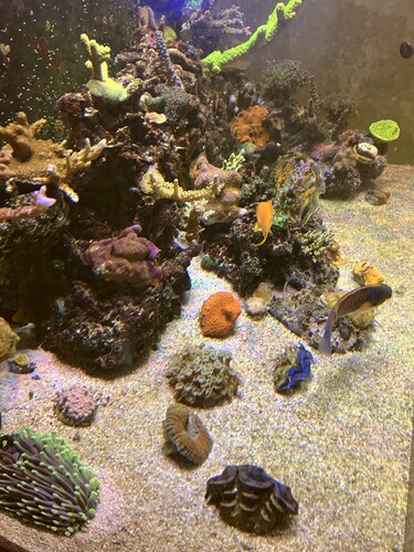 IMG_0844.jpeg