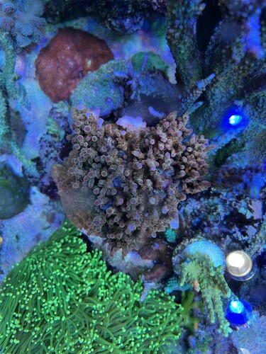 IMG_2263.jpeg
