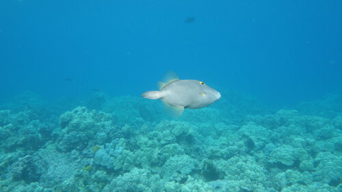 DSC03444.JPG