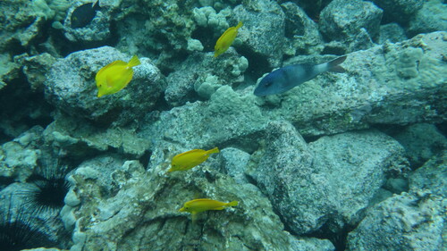 DSC03468.JPG