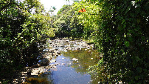 DSC04718.JPG