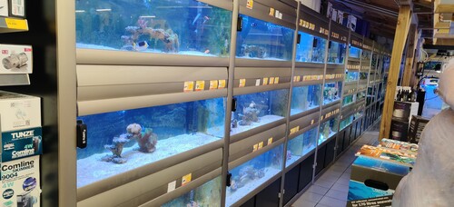 IMG_20230624_121605.jpg