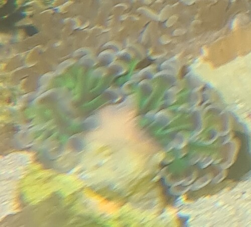 20230708_235446.jpg