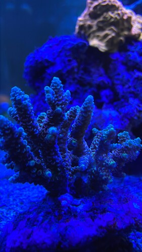 IMG_2279.jpeg