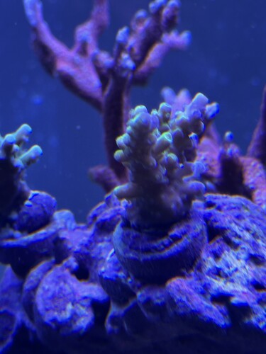 IMG_0707.jpeg