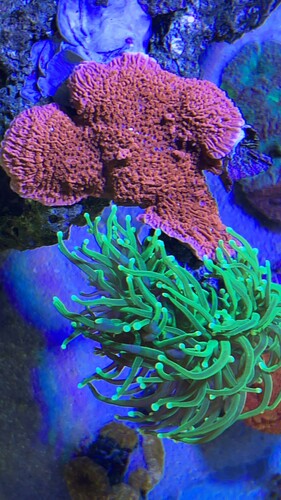 IMG_2924.jpeg