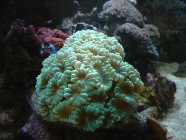 DSC01424 (Small).JPG