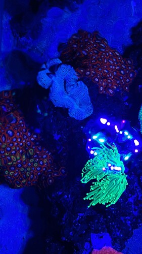 IMG_3040.jpeg