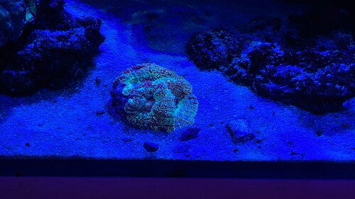 IMG_3048.jpeg