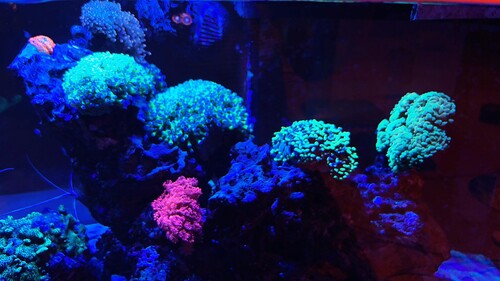 IMG_3055.jpeg