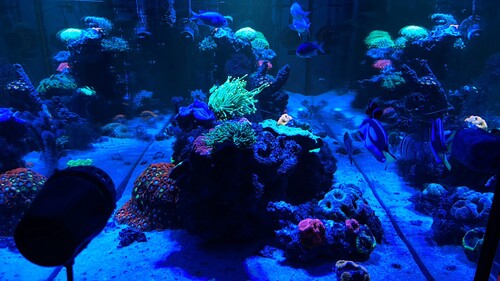 IMG_3314.jpeg