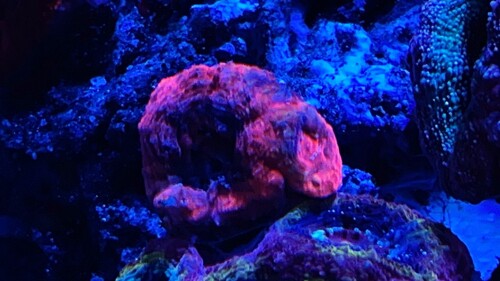 IMG_3318.jpeg