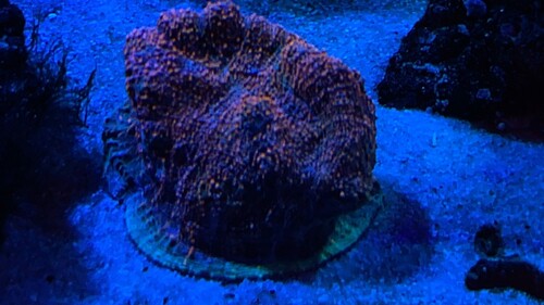 IMG_3326.jpeg