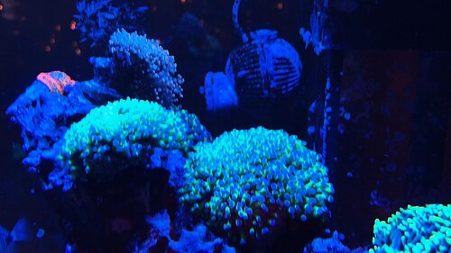 IMG_3332.jpeg