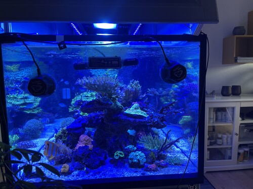 IMG_2868.jpeg (3.4 MiB) Vist 2268 gange End view