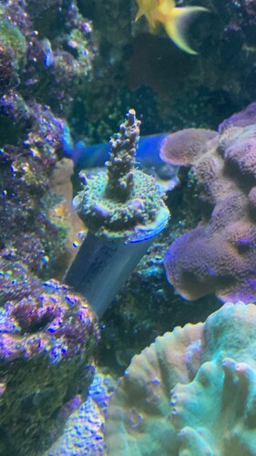 IMG_1258.jpeg