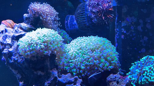 IMG_3391.jpeg