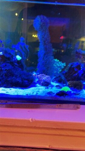 IMG_3401.jpeg