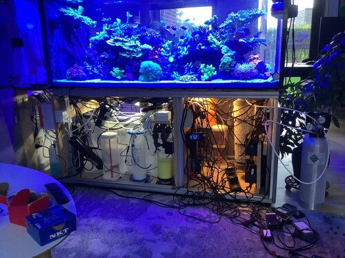 IMG_0981.jpeg (2.74 MiB) Vist 2203 gange Cable spaghetti