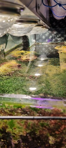 20231006_211313 (1).jpg