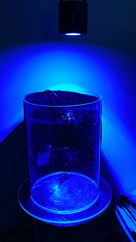 IMG_3536.jpeg