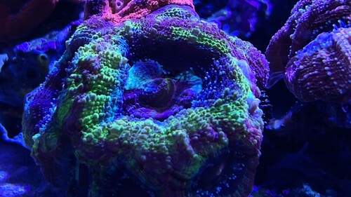 IMG_3574.jpeg