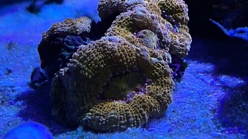 IMG_3577.jpeg