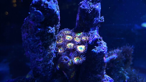 IMG_3584.jpeg
