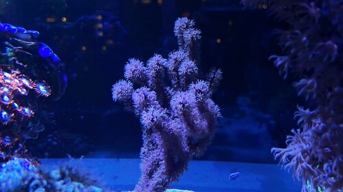 IMG_3590.jpeg