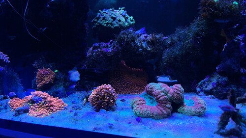 IMG_3599.jpeg
