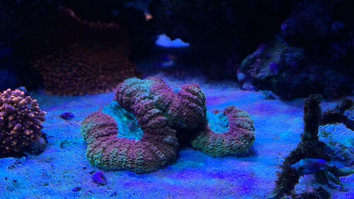 IMG_3600.jpeg