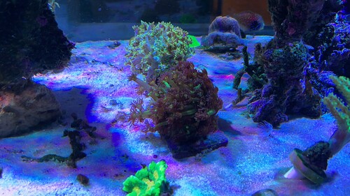 IMG_3716.jpeg