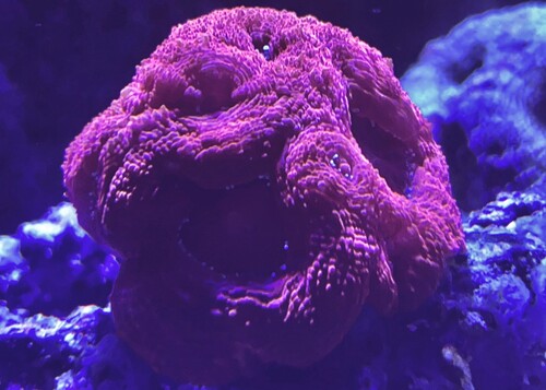 IMG_3698.jpeg